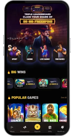 Casino website